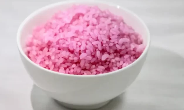 Científicos crean «arroz carnoso» con alto contenido de proteínas