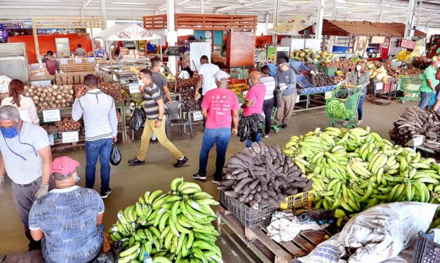 Canasta básica familiar en el Sur sube RD$ 1,321.76 en solo cinco meses