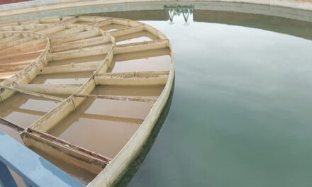 CAASD restablece en tiempo récord acueductos afectados por la tormenta tropical Melissa